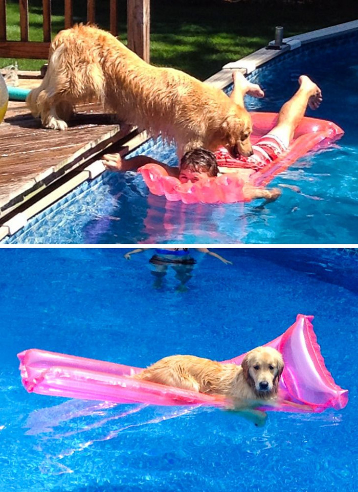 18. “My dog drowning me to get my raft”