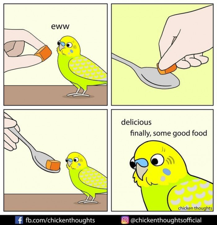 15 Funny Comics About What Goes Through The Minds Of Birds From The ...