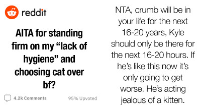 Pet Owner Asks Redditors If She's In The Wrong For Choosing Her Cat Over Her Boyfriend