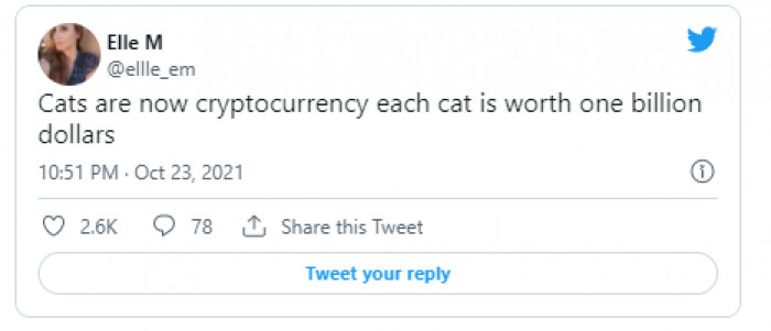 1. Cats are now cryptocurrency