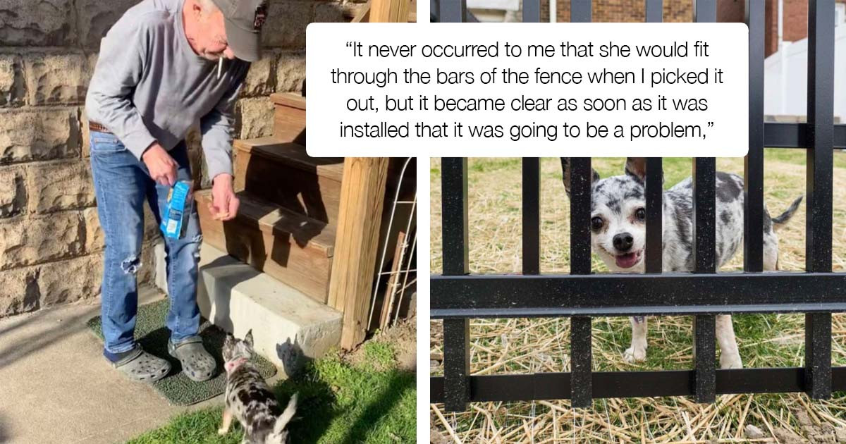 Woman Uses An Interesting Method To Stop Her Dog From Squeezing Through