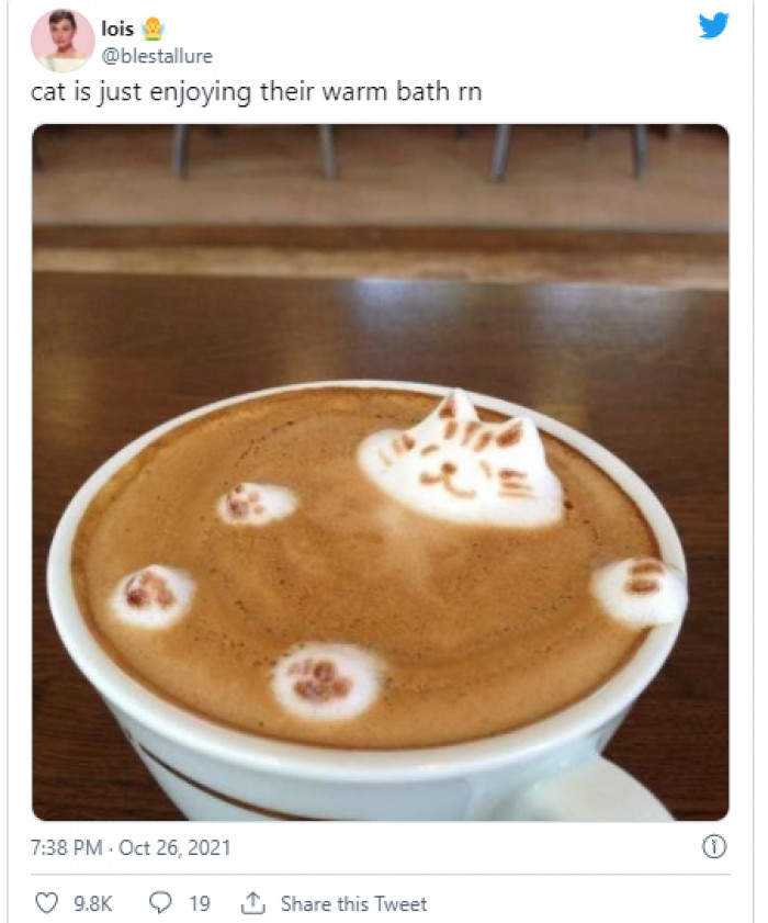 5. Is that a catpuccino?