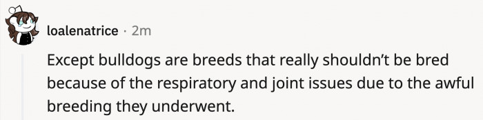A lot of people in the comments shared why breeding dogs is an issue