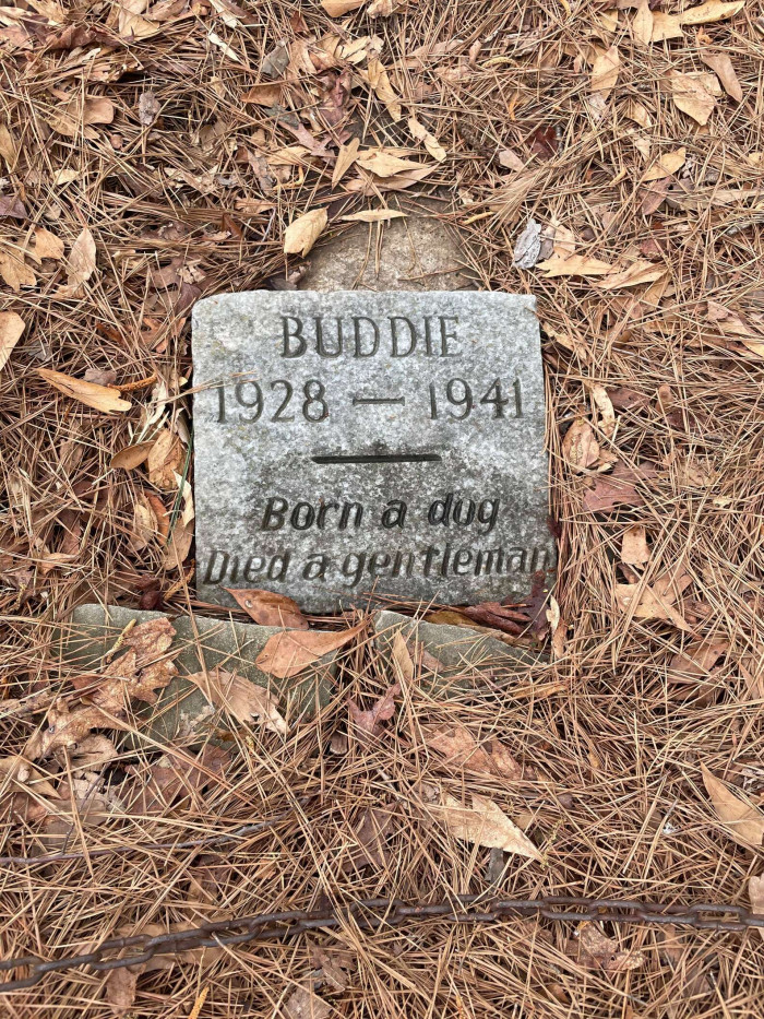 Zach was touched, but he wondered why Buddie had been buried all by himself in a public park.
