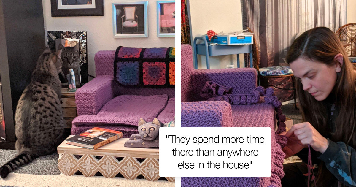 Two Cats Are Gifted With A Cat Sized Living Room Masterpiece