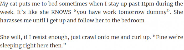 Cat puts her owner to bed.