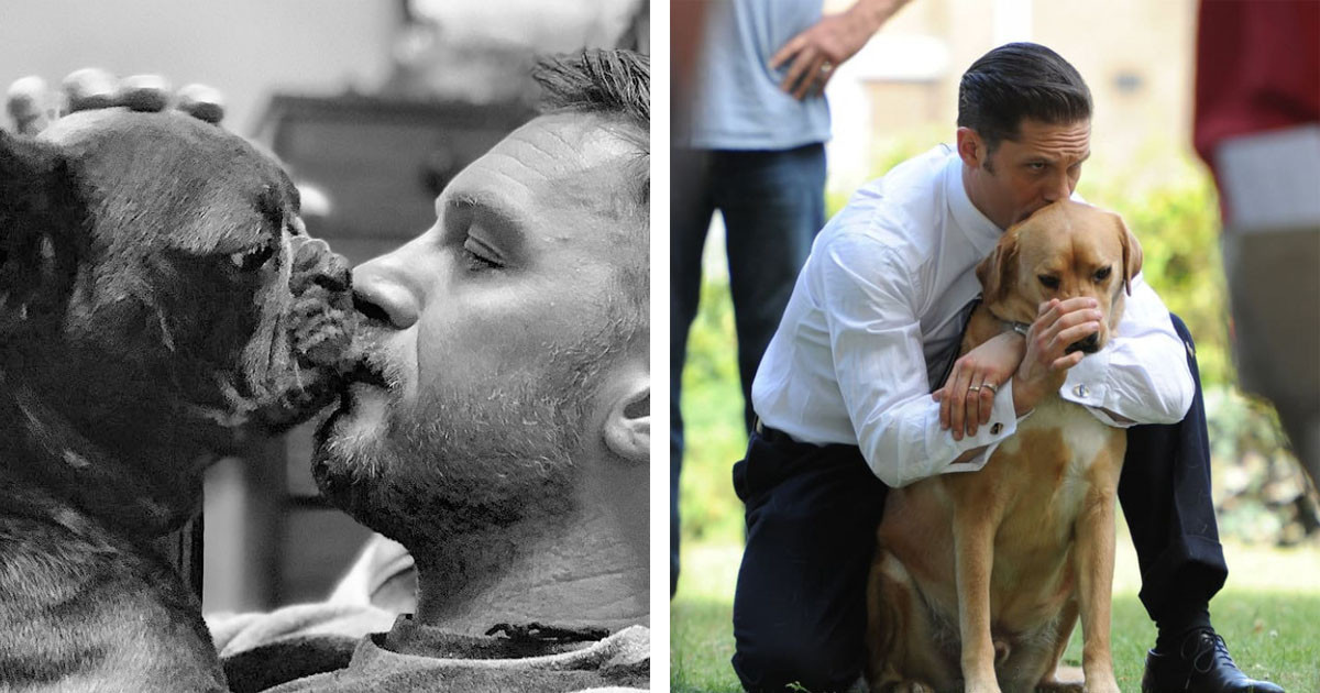 These Pictures Of Tom Hardy With Some Cute Dogs Are So Adorable You Won't Be Able To Handle Them