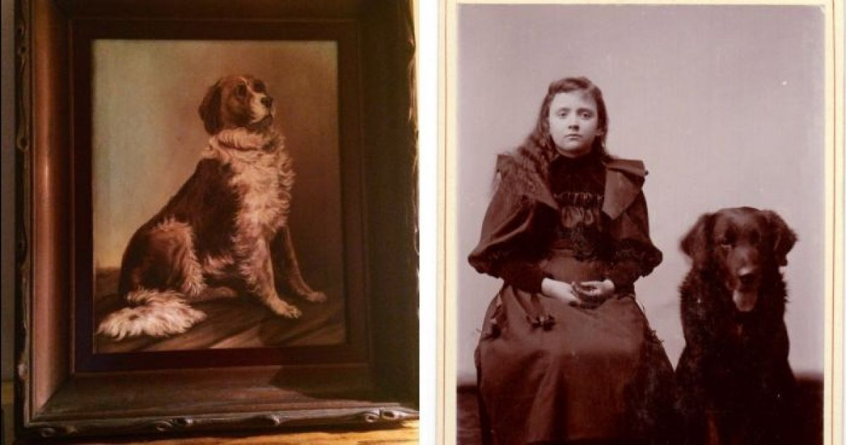 24 Relatable Victorian-Era Dog Portraits That Will Make All Dog Owners Laugh