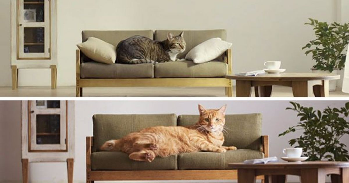 Your Cat Will Absolutely LOVE This Miniature Furniture That Was Made Just For Felines