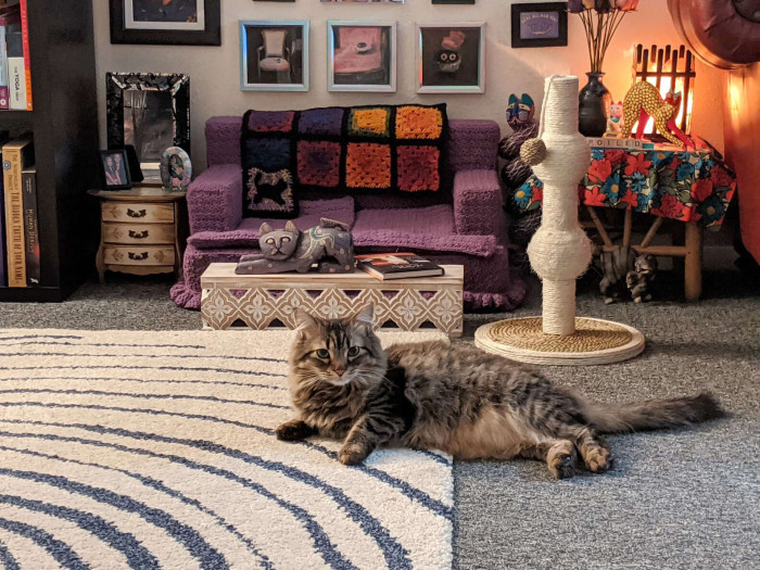 living room with cats