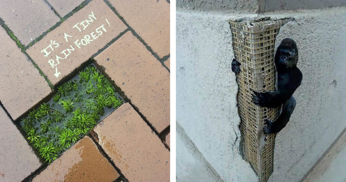 30 Genius Acts Of Vandalism That Are True Works Of Art 