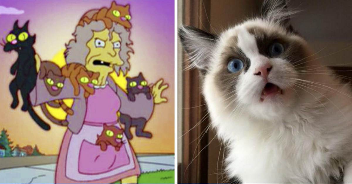 10 Reasons You're Not Crazy For Being Obsessed With Cats