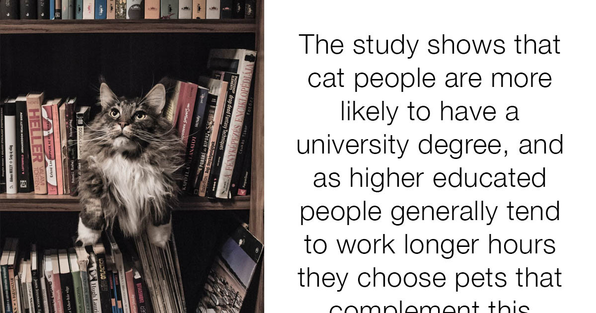 Liking Cats Is A Sign Of High Intelligence, Researchers Prove