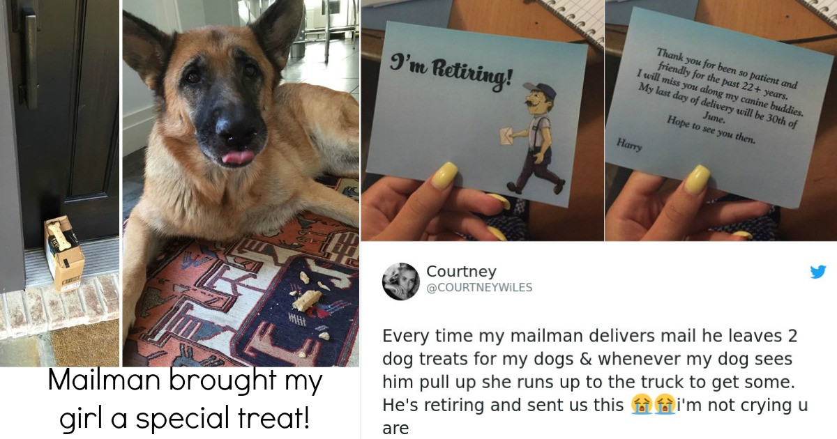 Delivery Drivers That Actually Delivered Packages to Customers That Left Everyone Entertained