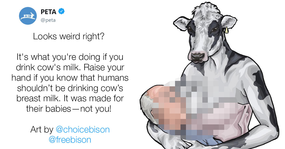 PETA Posted A Picture Of A Breastfeeding Cow And The Response Backfired