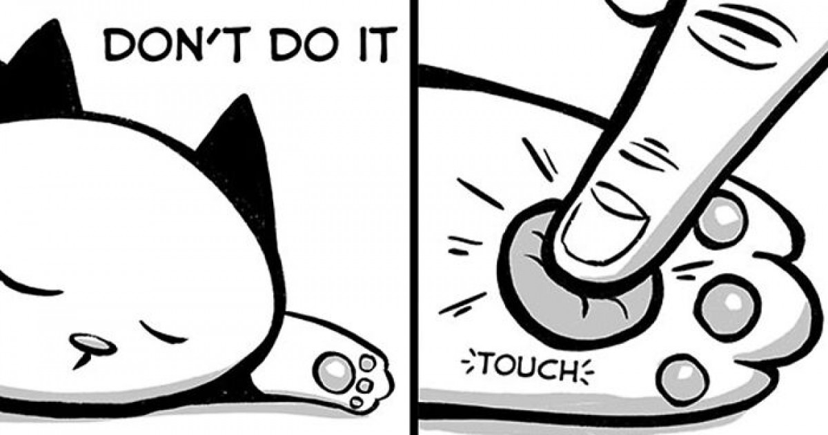 Cat Life Is Perfectly Summed Up In These Adorable Cat Comics You're Going To Love