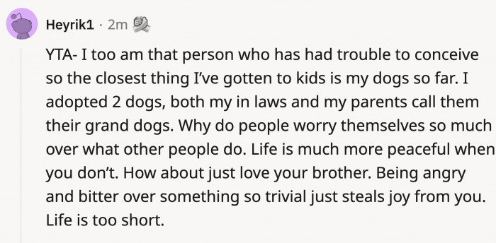 Dear OP, life is too short to not just love your dog godchildren 