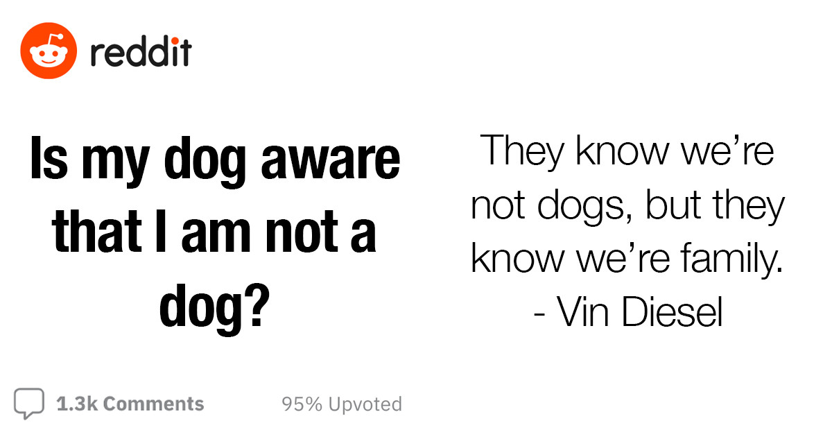 If You've Ever Wondered If Your Dog Sees You As A Dog Too, Here's Your Answer