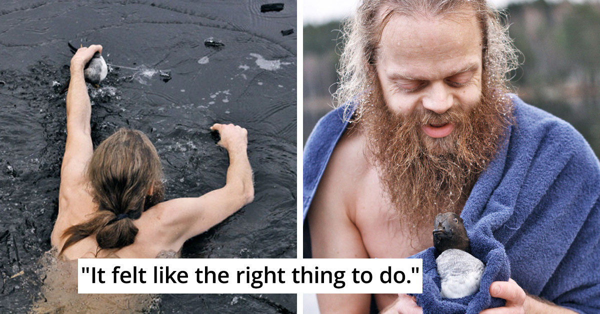Brave Norwegian Man Jumps Into A Frozen Lake To Save A Drowning Duck