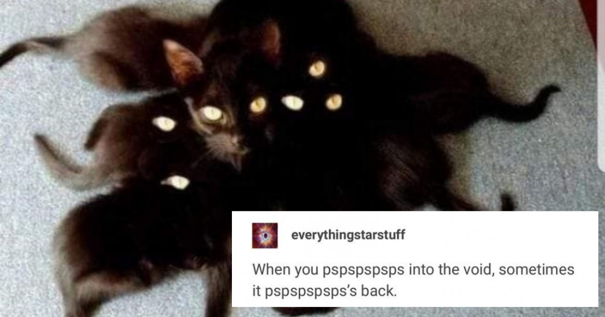 21 Times Cats Provided Compelling Evidence They May Actual Be Evil