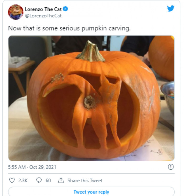 6. Pumpkin cat carving