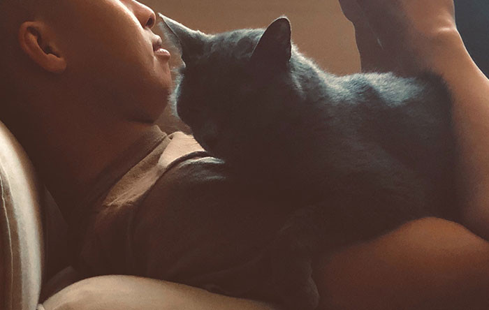 This cat is a therapist.