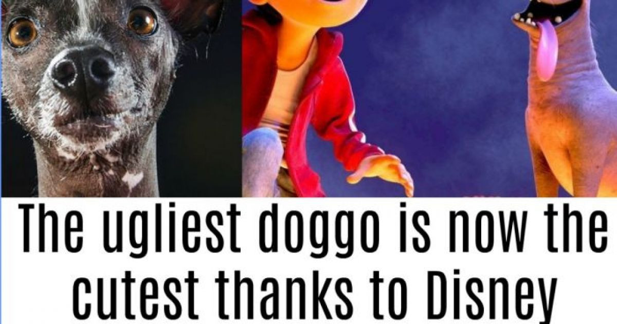 10+ Things You Didn't Know About Xolos, The Funky Looking Dog Everyone Is Talking About From Pixar's Coco