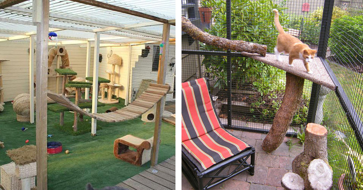 These Are The Most Epic Cat Patios (AKA Catios) We've Ever Seen