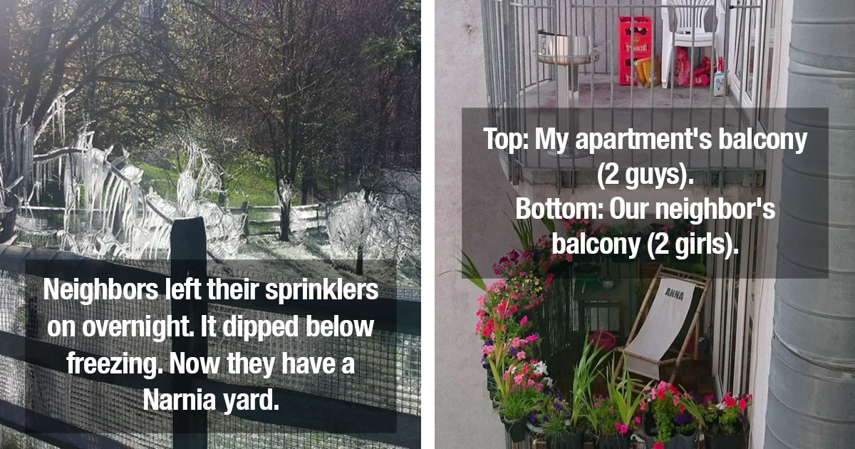 50 Times Neighbors Made The Neighborhood More Interesting With Their Antics