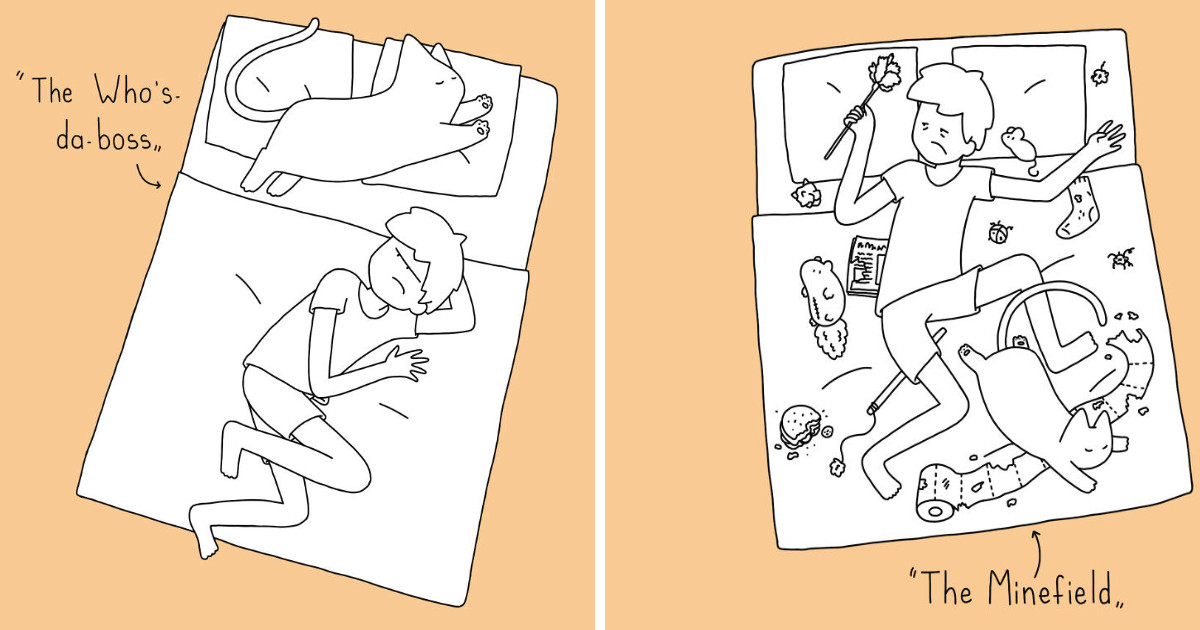 The 10 Sleeping Positions That Shows You How Much Your Cat Owns You