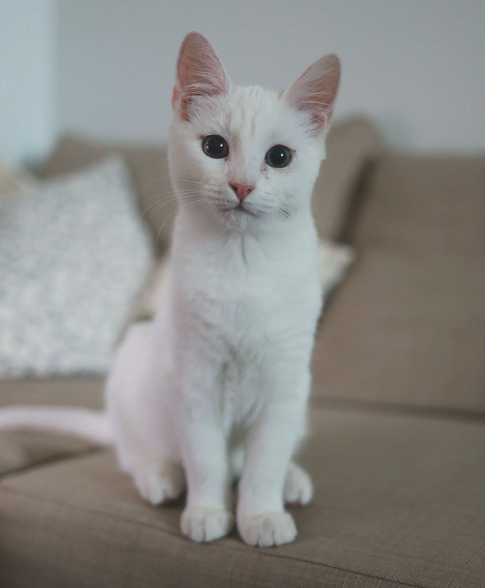 Are you trying to embarrass your mum?