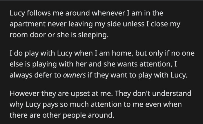 OP doesn't think it's his or the dog's fault that she prefers him over her owners