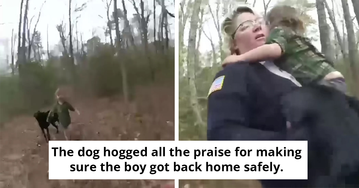 Lost Toddler Rescued From Woods With Faithful Canine Guardian