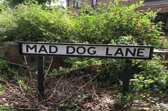 11. Mad Dog Lane, Yorkshire, UK