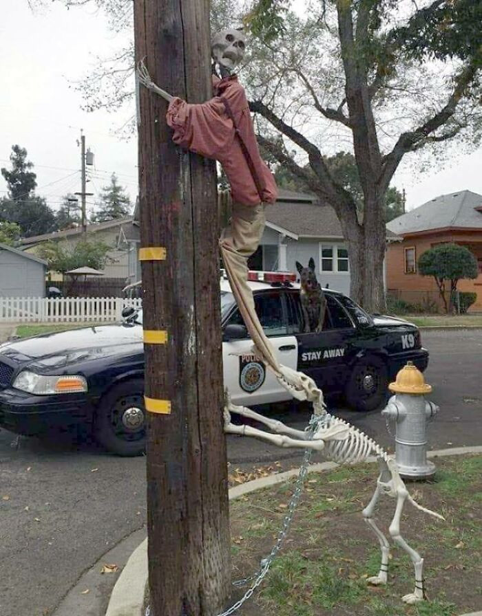 19. A Halloween inspiration