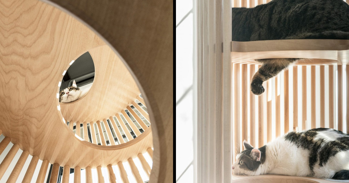 Here’s The Purrfect Cat Furniture For Any Minimalist Home As Designed By A Japanese Company