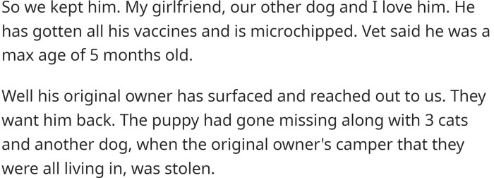 Despite their efforts to find the puppy's original owner, they were unsuccessful and decided to keep him.