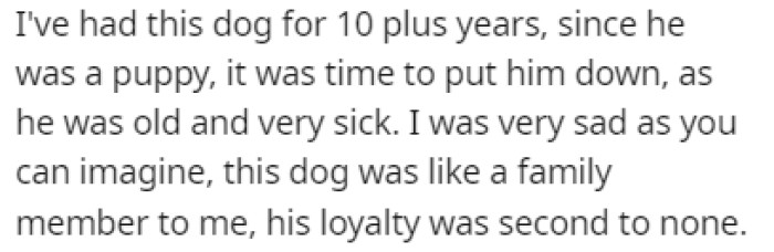 OP has had his dog for over ten years