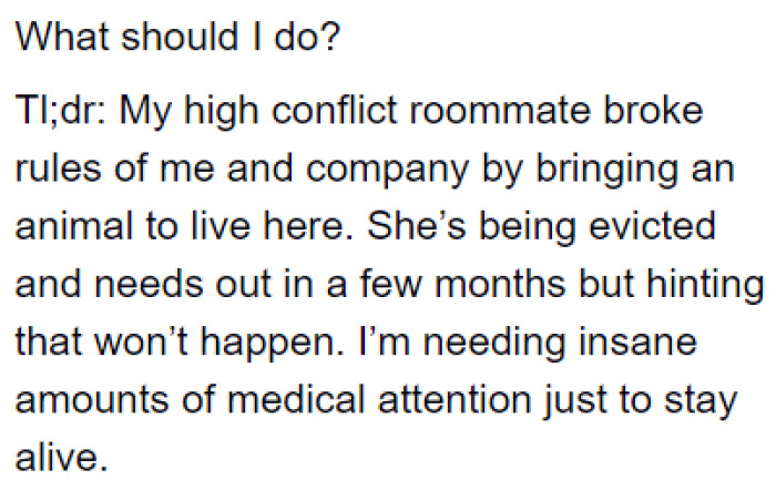 The OP asks for advice on how to deal with her roommate and the dog.