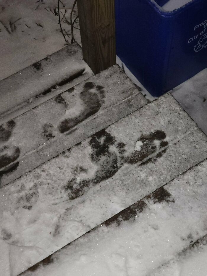 8. I Was Taking Out The Trash This Morning And Found Bare Footprints