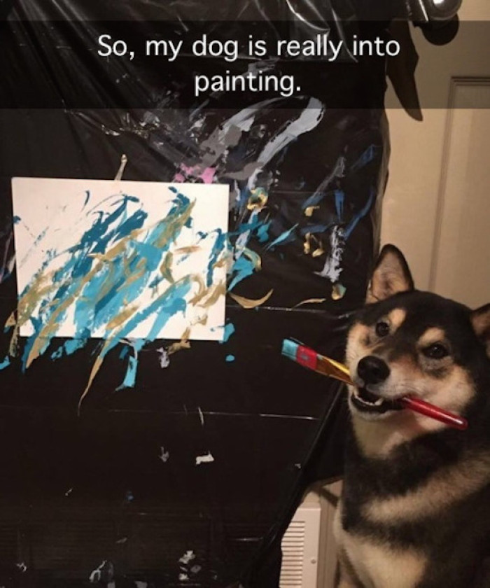 13. From Pup to Picasso: When Dogs Become an Artist