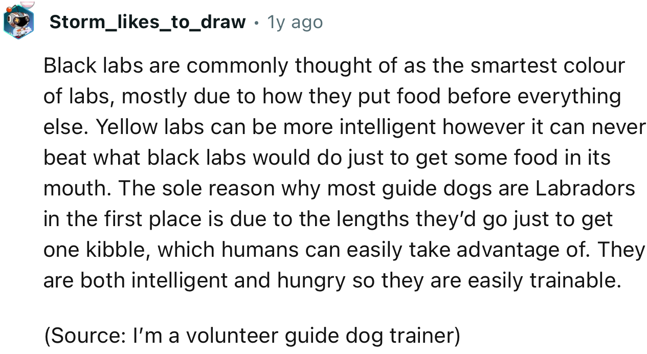 “Black labs are commonly thought of as the smartest color of labs, mostly due to how they put food before everything else.”
