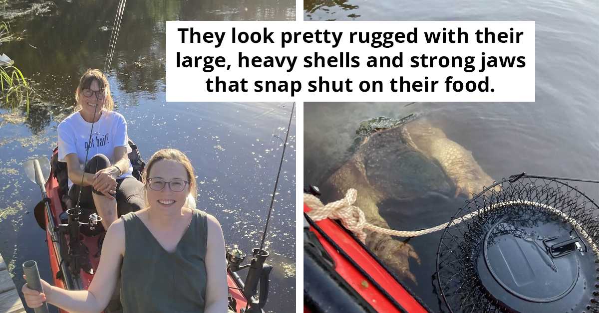Kayakers "Freaked Out" By River Creature With Enormous "Bear-Like" Claws