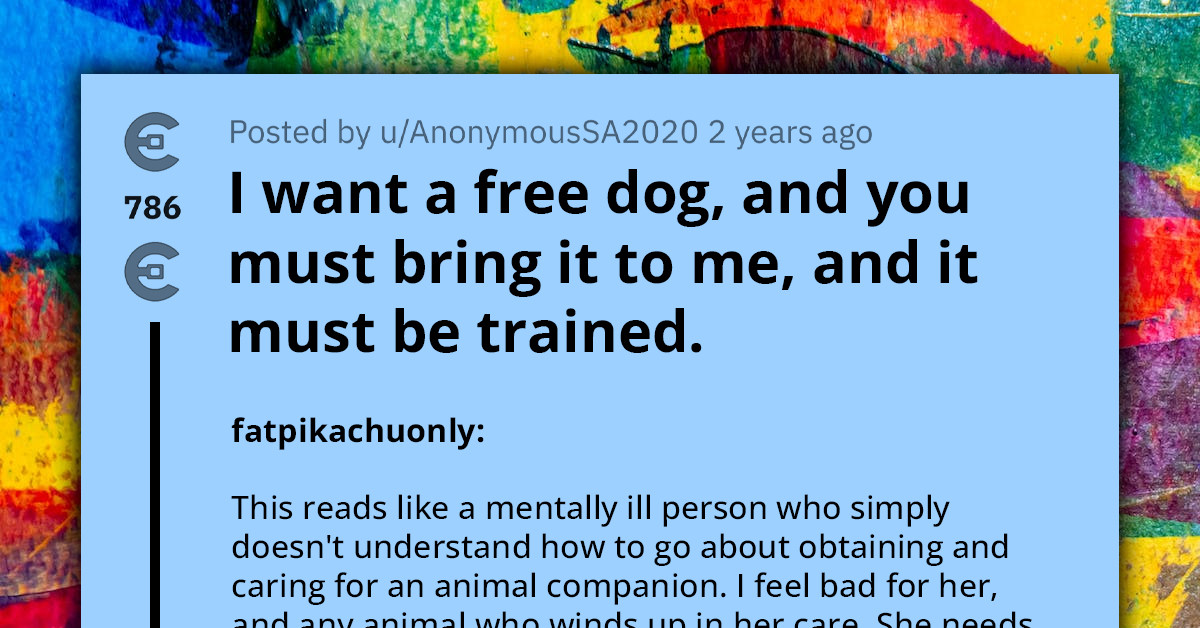 This Lady Needs A HouseTrained Dog To Aid With Her Anxiety And
