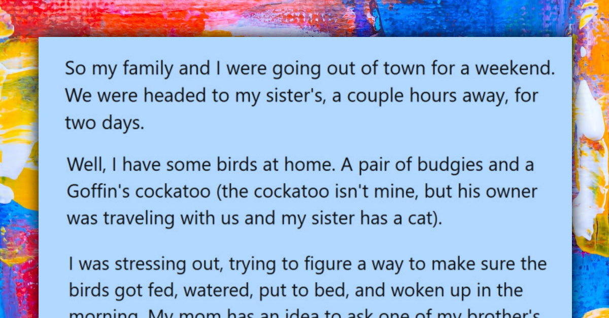 Redditor Blacklists Petsitter After She Left Her Pet Birds In The Dark Without Fresh Food And Water