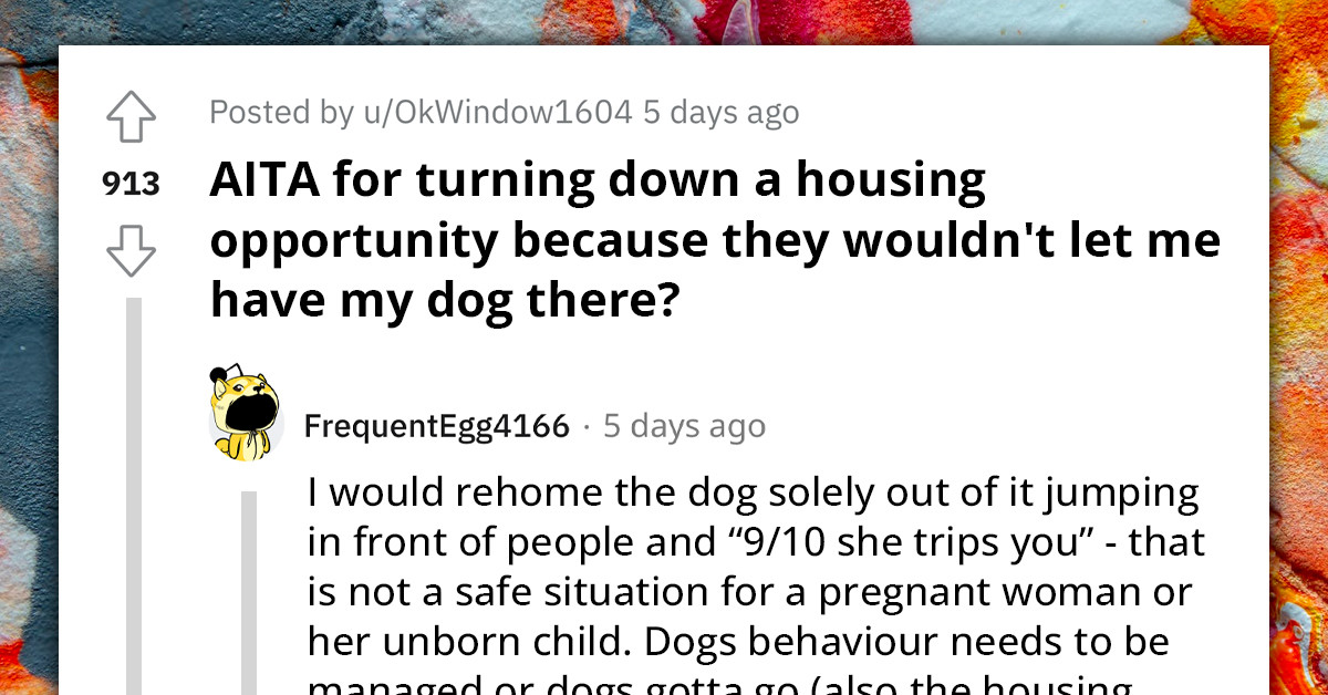 Homeless Dog Owner Turns Down Free Housing Because Of Their "No Pets" Policy Gets Chewed Out On Reddit For Not Prioritizing His Pregnant Fiancé & Their Two Kids