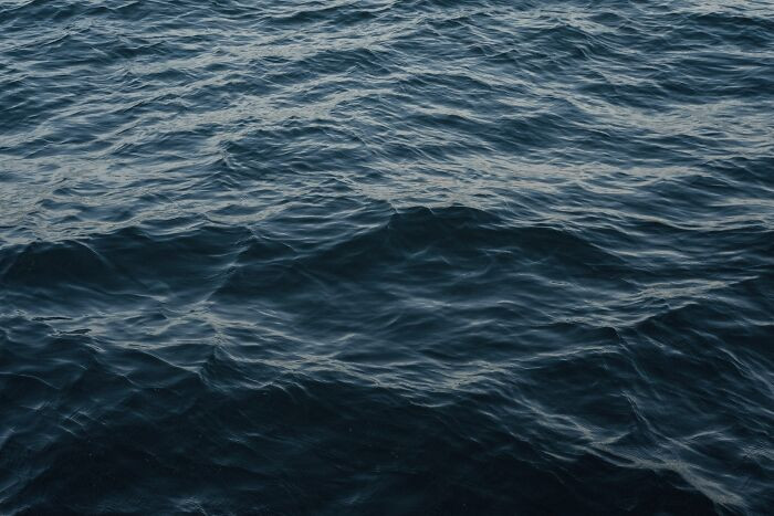 27. Imagine if the ocean becomes devoid of oxygen