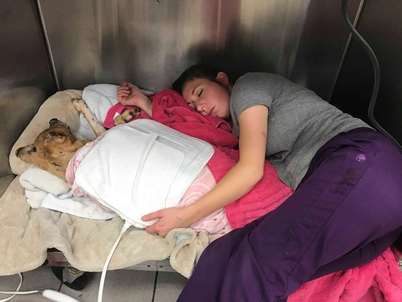 Emily, exhausted from caring for Taka all night, took a break at work and fell asleep next to him in his kennel. A coworker captured a touching photo of the moment.