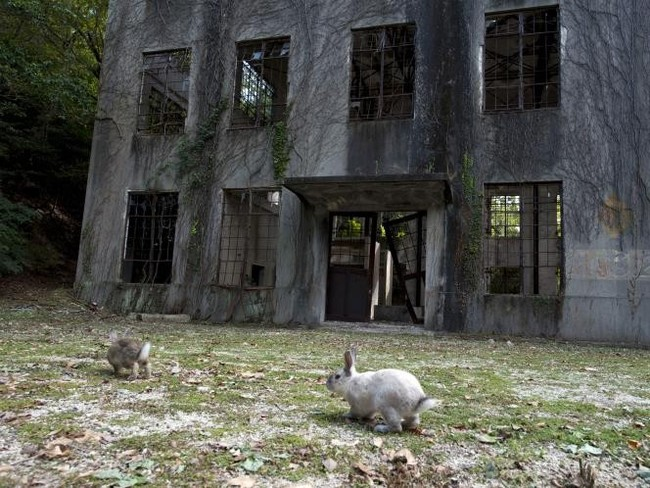 Back in World War II, the island of Okunoshima was home to some big poison gas factories.