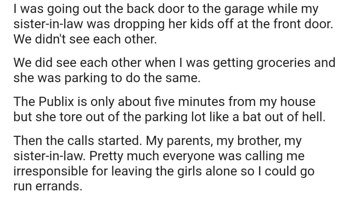 Redditor Slammed For Leaving Young Nieces Alone In The House To Run ...